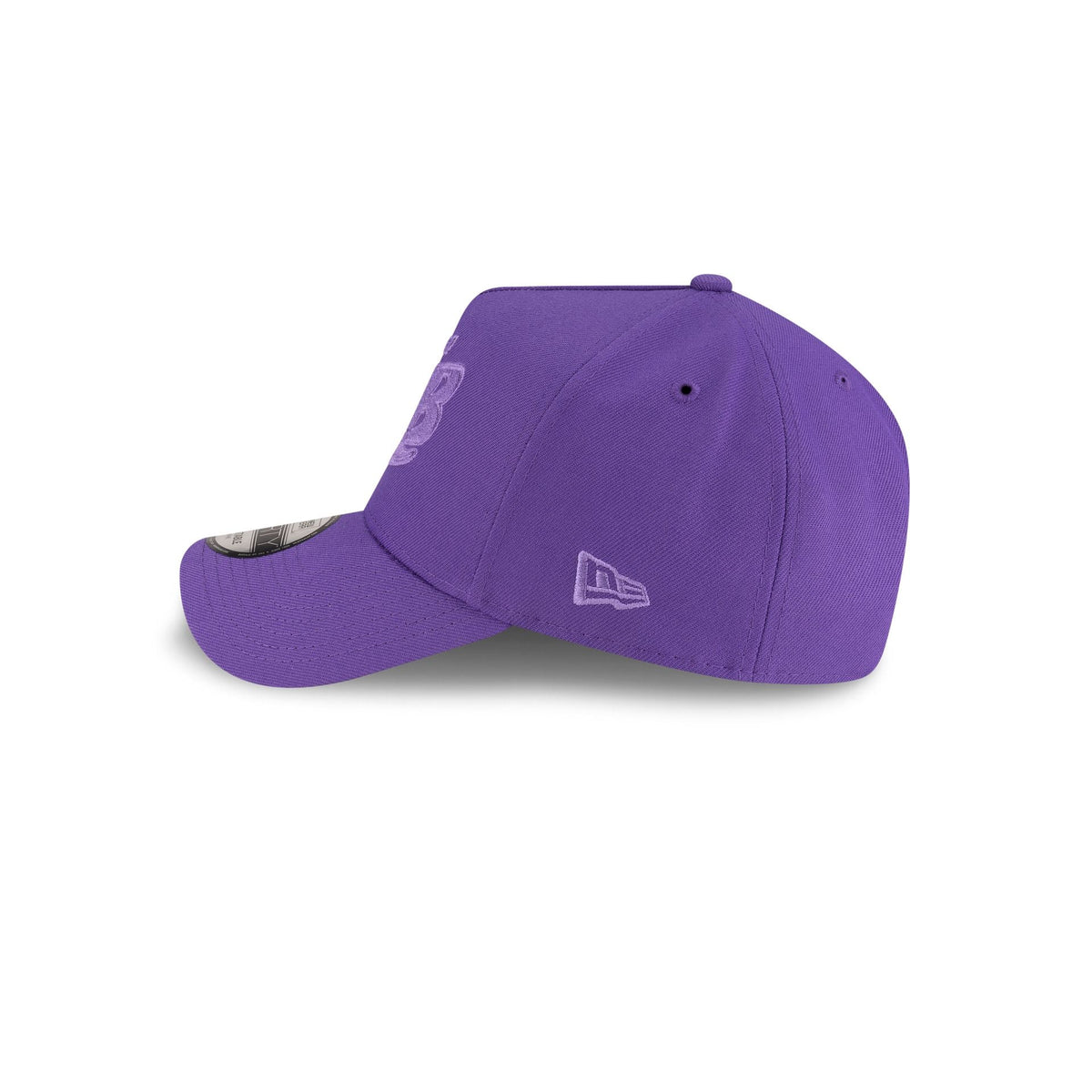 https://cdn.shopify.com/s/files/1/0601/2554/4675/files/70937718_9FORTYAF_SPRING_TAMDEVCO_PURPLE_LSIDE.jpg?v=1746016895