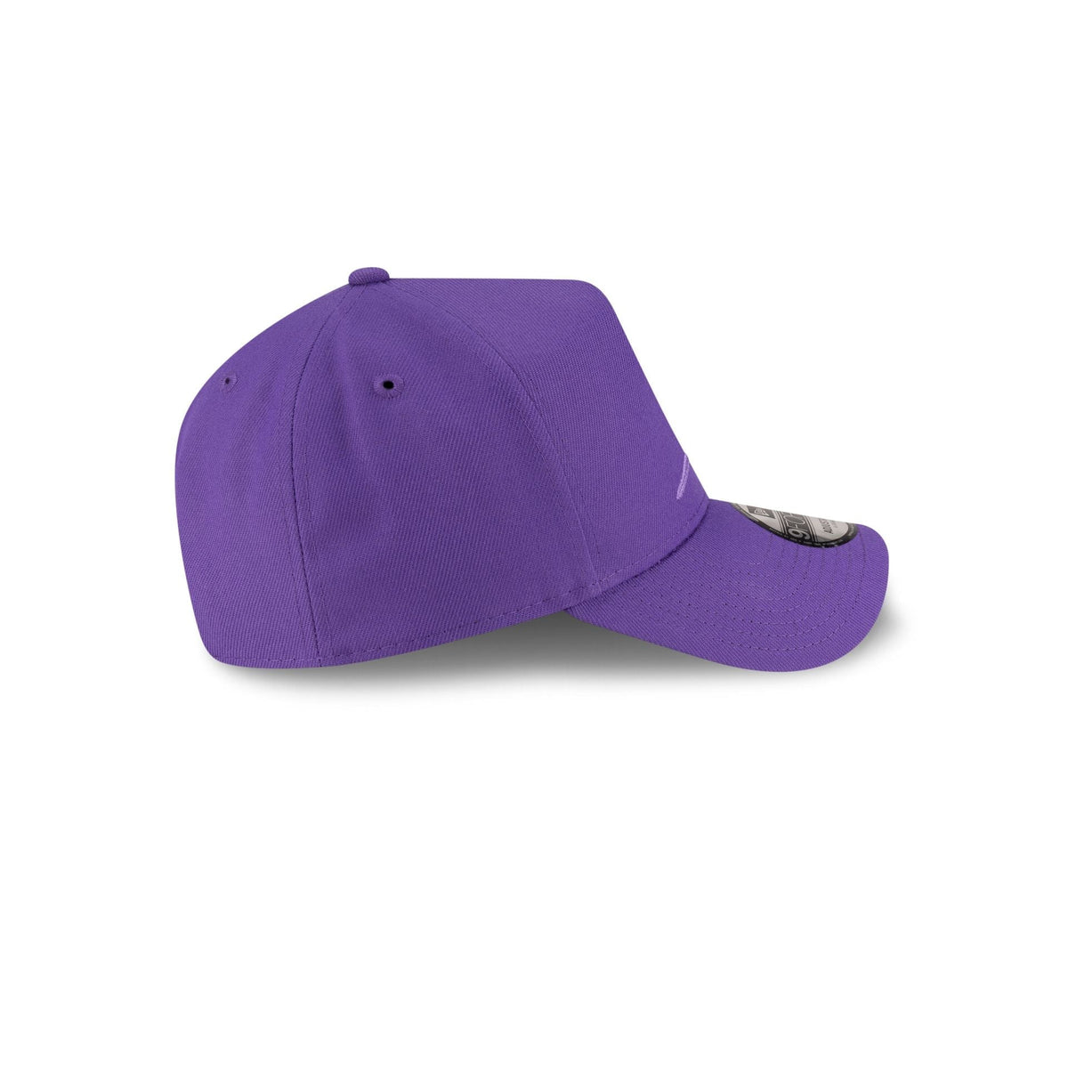 https://cdn.shopify.com/s/files/1/0601/2554/4675/files/70937718_9FORTYAF_SPRING_TAMDEVCO_PURPLE_RSIDE.jpg?v=1746016895