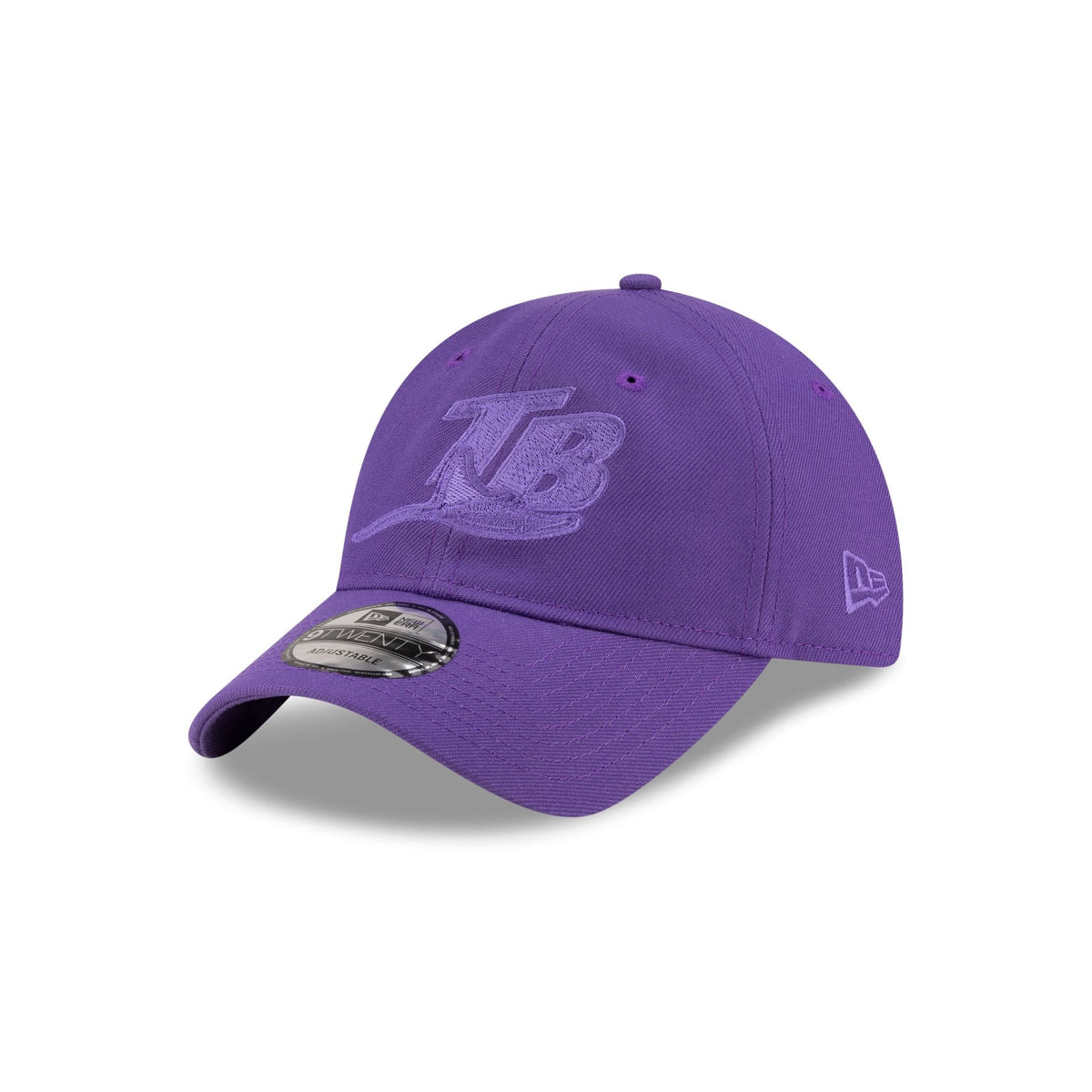 https://cdn.shopify.com/s/files/1/0601/2554/4675/files/70937741_9TWENTY_SPRING_TAMDEVCO_PURPLE_3QL.jpg?v=1745932454